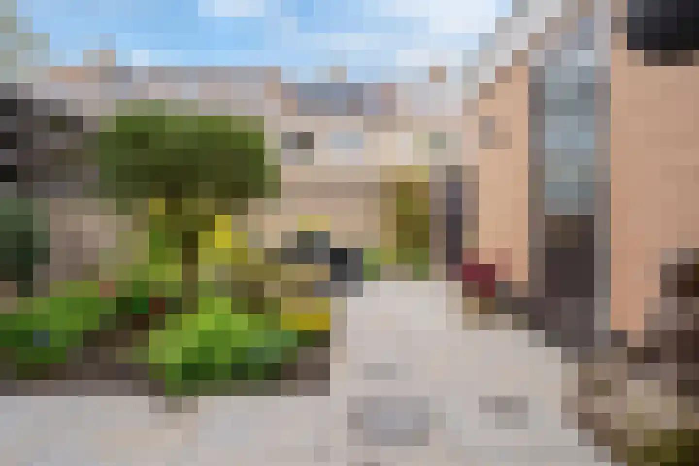 Huisweid 5 Egmond-Binnen thumbnail 28