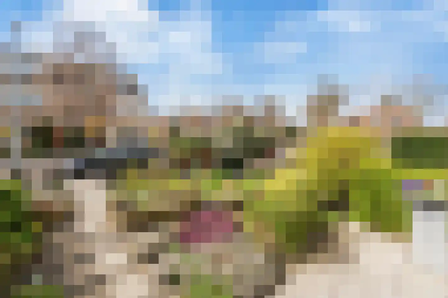 Huisweid 5 Egmond-Binnen thumbnail 29