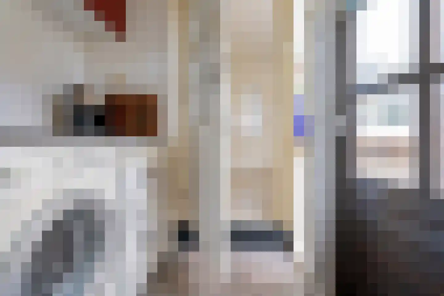 Huisweid 5 Egmond-Binnen thumbnail 9