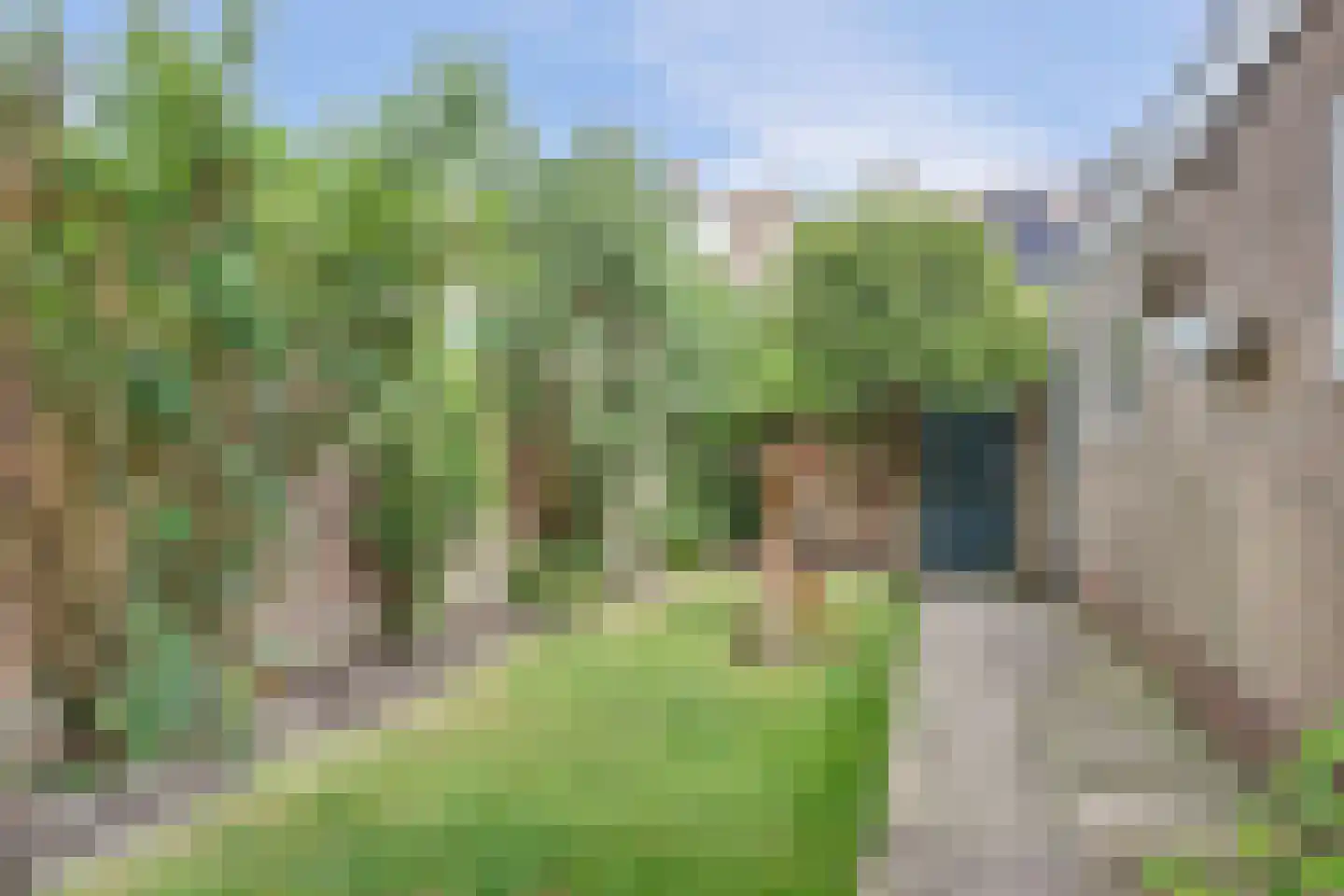 Huisweid 9 Egmond-Binnen thumbnail 31