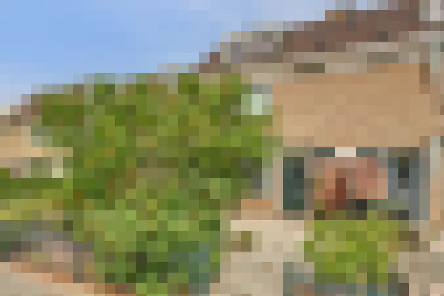 Huisweid 9 Egmond-Binnen thumbnail 5