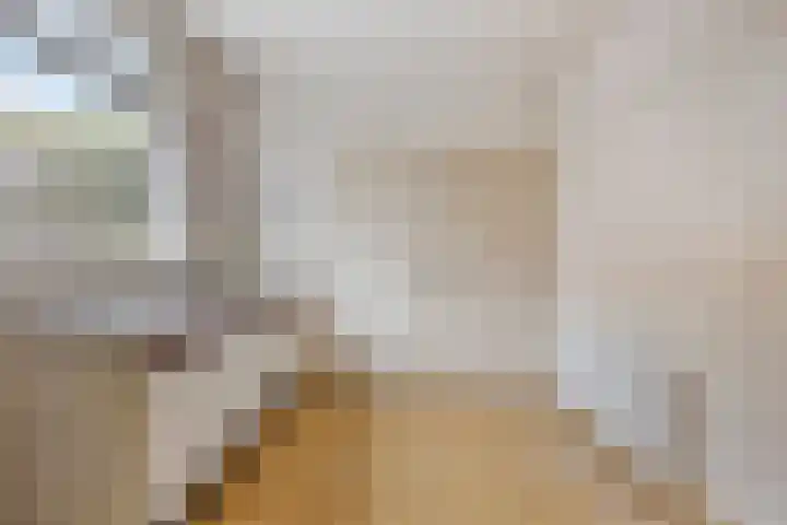 Huiswerf 1 Andel thumbnail 14