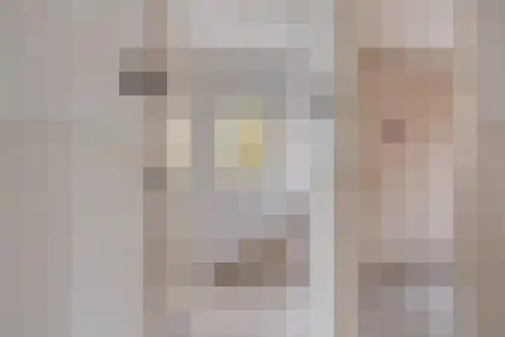 Huiswerf 1 Andel thumbnail 19