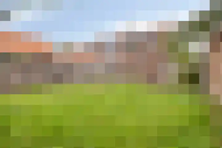 Huiswerf 1 Andel foto 2