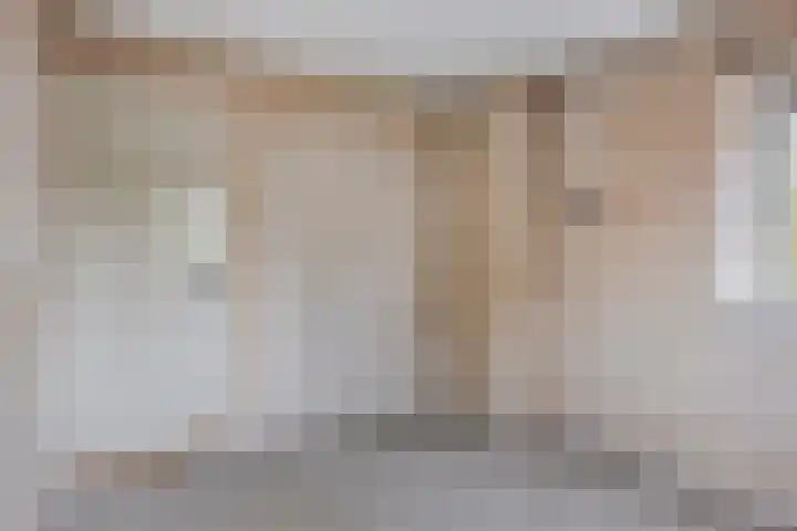 Huiswerf 1 Andel thumbnail 21