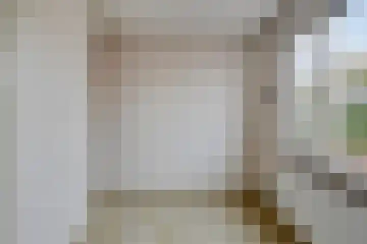 Huiswerf 1 Andel thumbnail 23