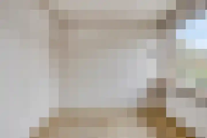 Huiswerf 1 Andel thumbnail 24