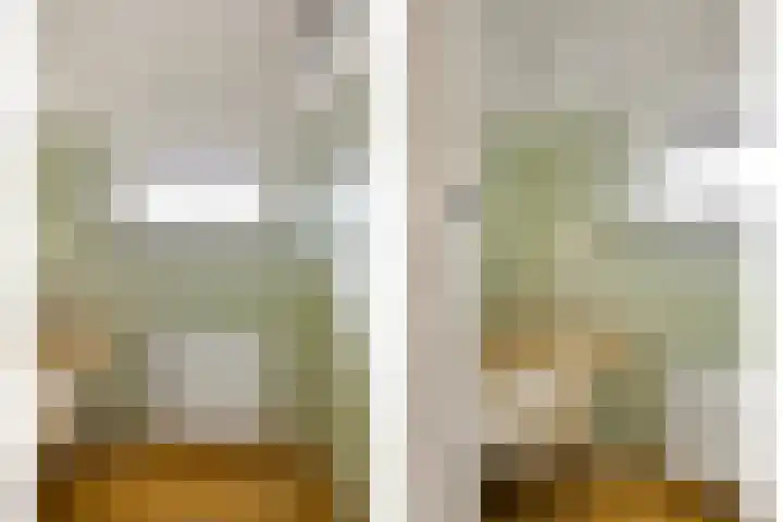 Huiswerf 1 Andel thumbnail 25
