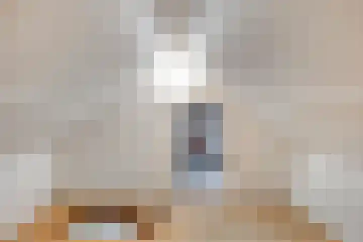 Huiswerf 1 Andel thumbnail 26