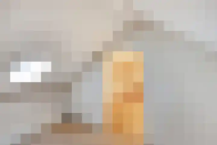 Huiswerf 1 Andel thumbnail 27