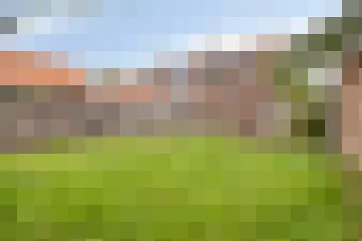 Huiswerf 1 Andel thumbnail 30