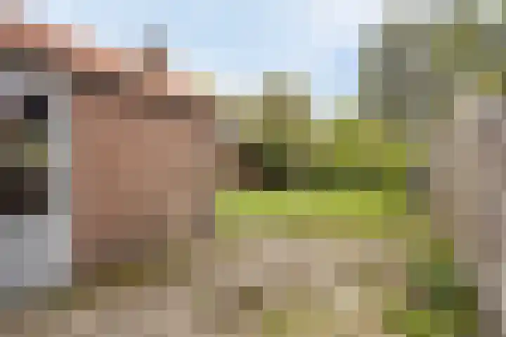 Huiswerf 1 Andel thumbnail 31