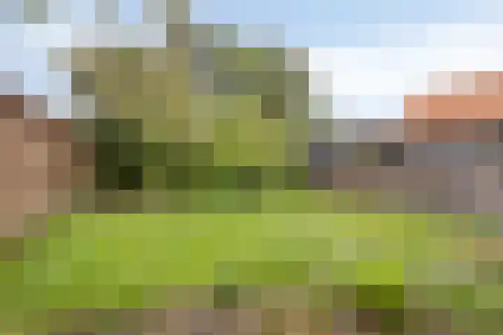 Huiswerf 1 Andel thumbnail 32