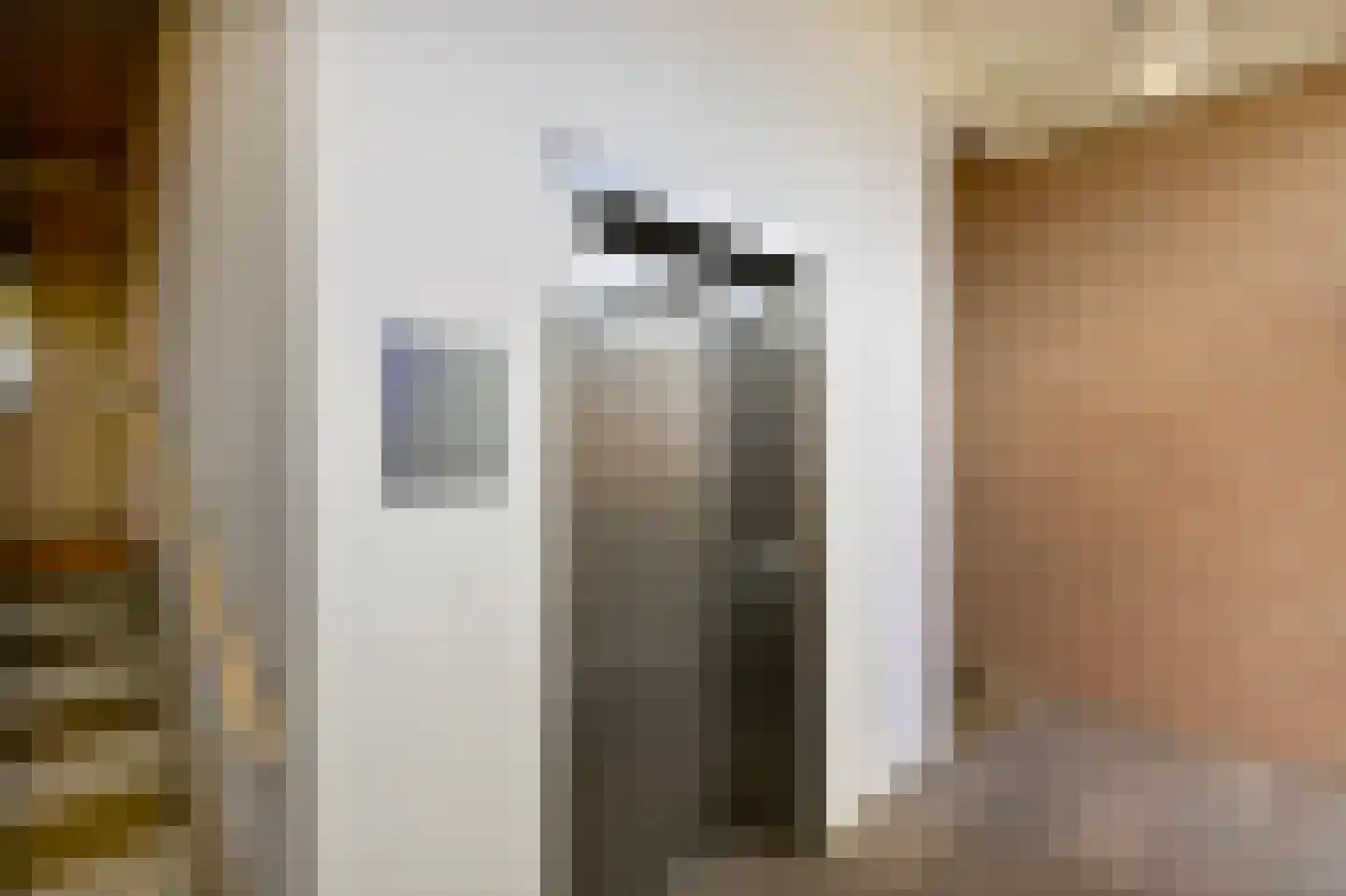Huiswoudstraat 40 Amsterdam thumbnail 32