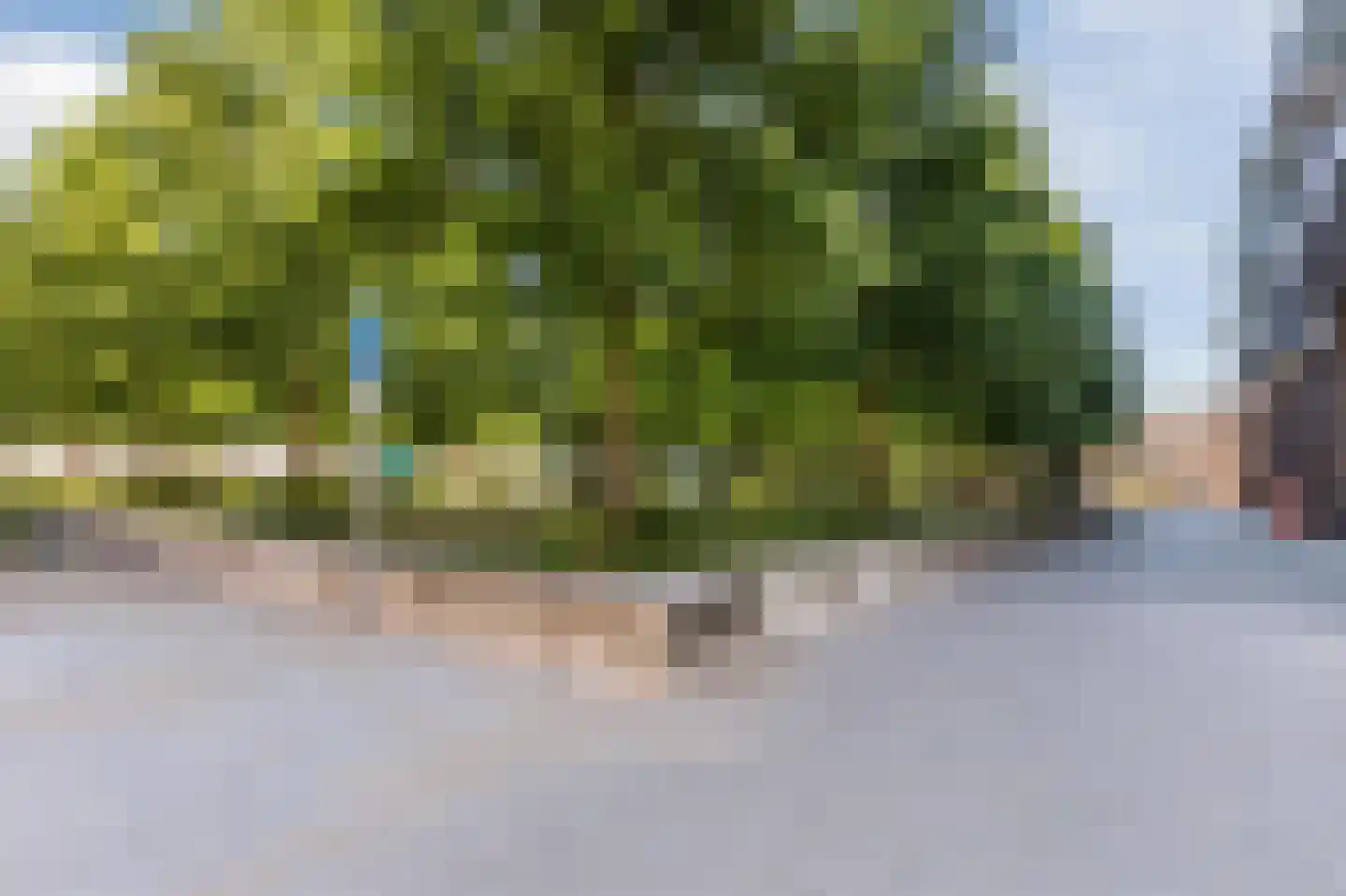 Huiswoudstraat 40 Amsterdam thumbnail 38