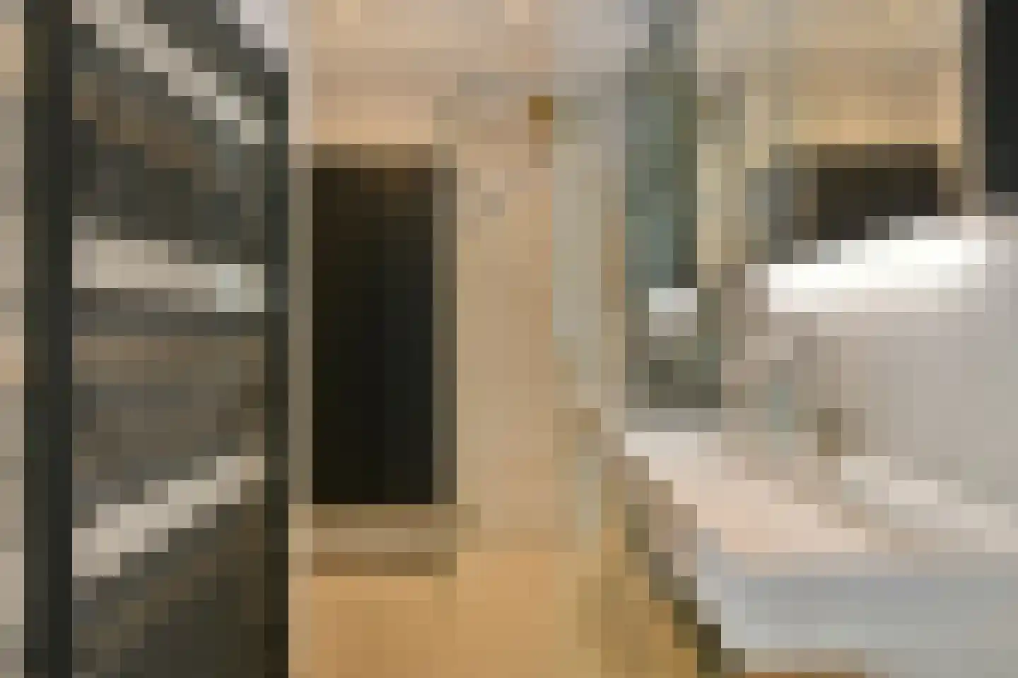 Huiswoudstraat 48 Amsterdam thumbnail 16
