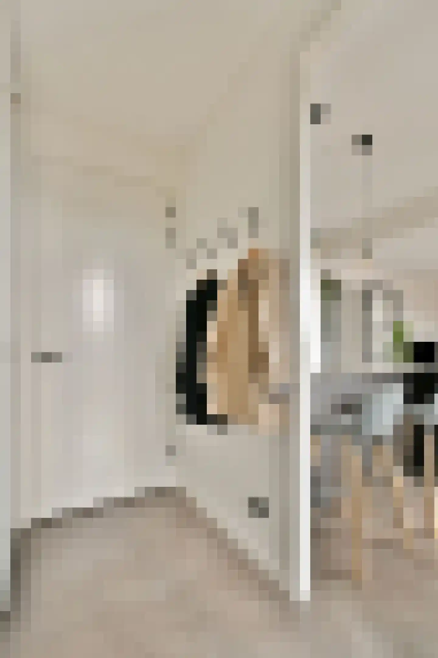 Huiswoudstraat 48 Amsterdam thumbnail 21