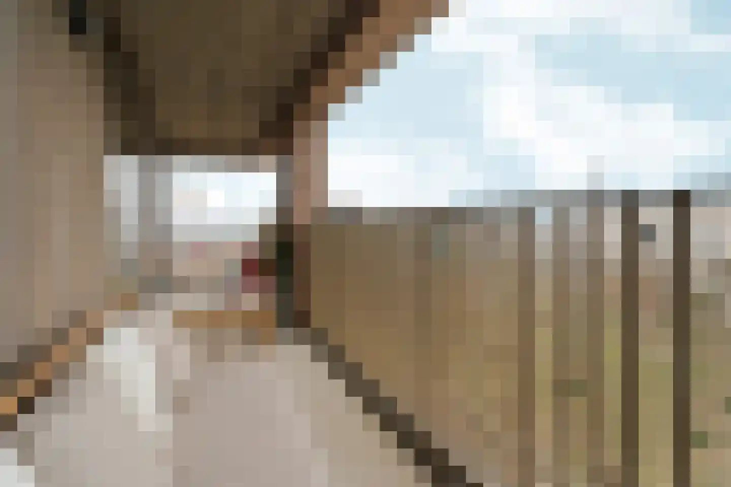 Huiswoudstraat 68 Amsterdam thumbnail 22