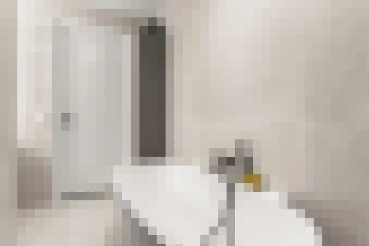 Huiswoudstraat 68 Amsterdam thumbnail 32