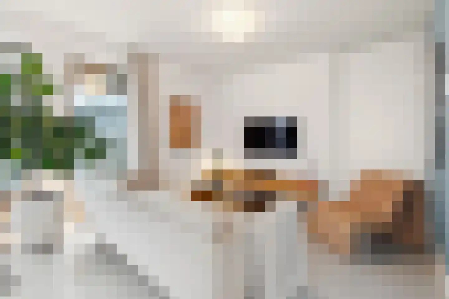Huiswoudstraat 68 Amsterdam thumbnail 7