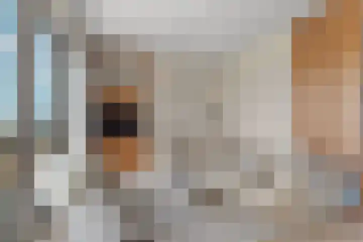 Huiswoudstraat 8 Amsterdam thumbnail 9