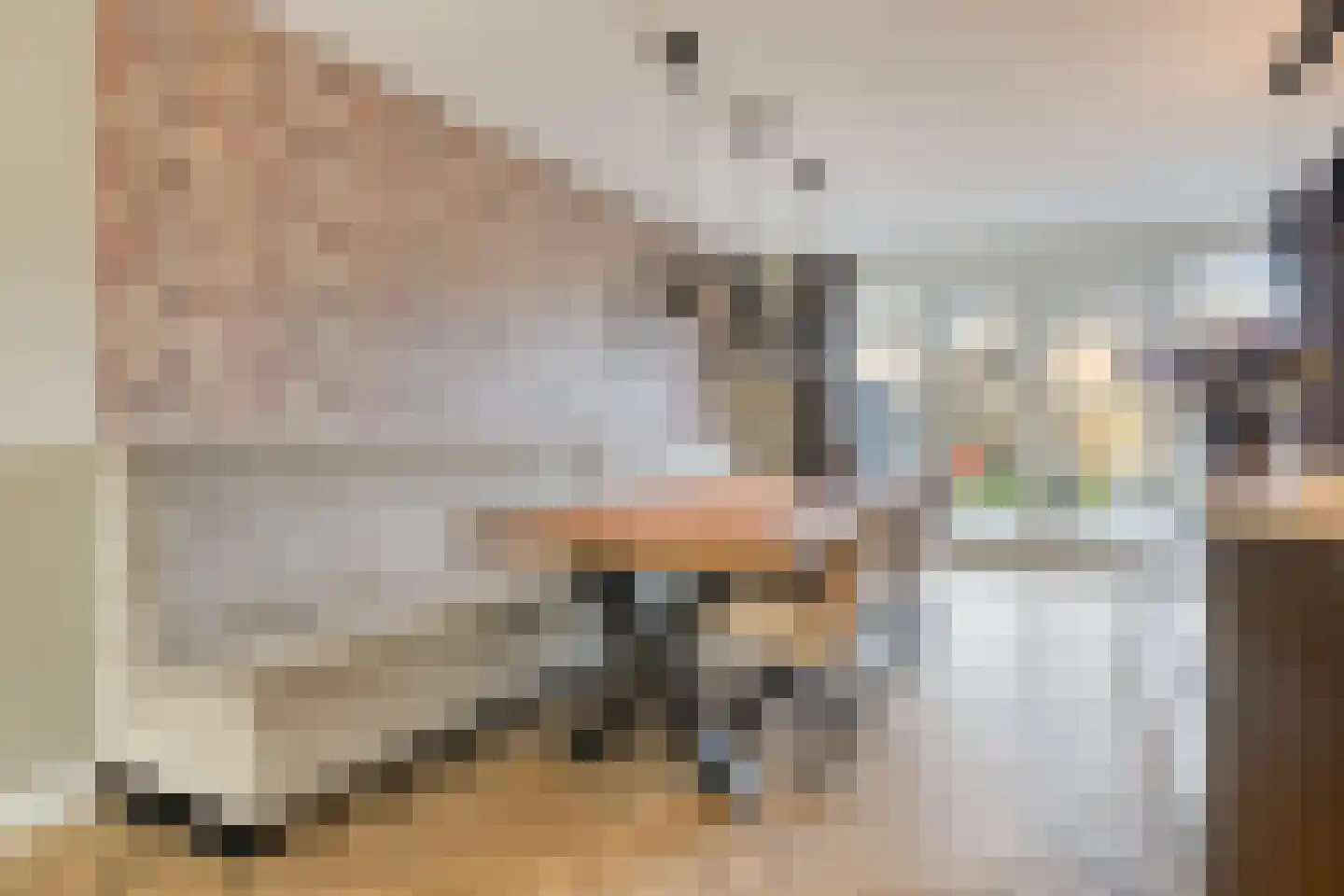 Huiszwaluwstraat 52 Heerhugowaard thumbnail 13