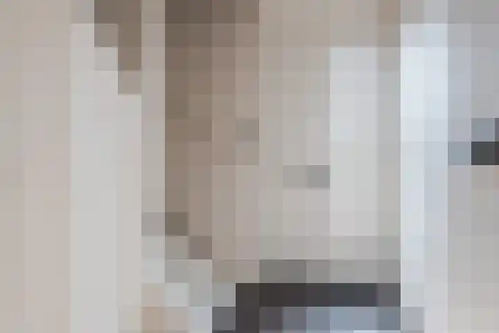 Huiszwaluwstraat 6 Heerhugowaard thumbnail 20