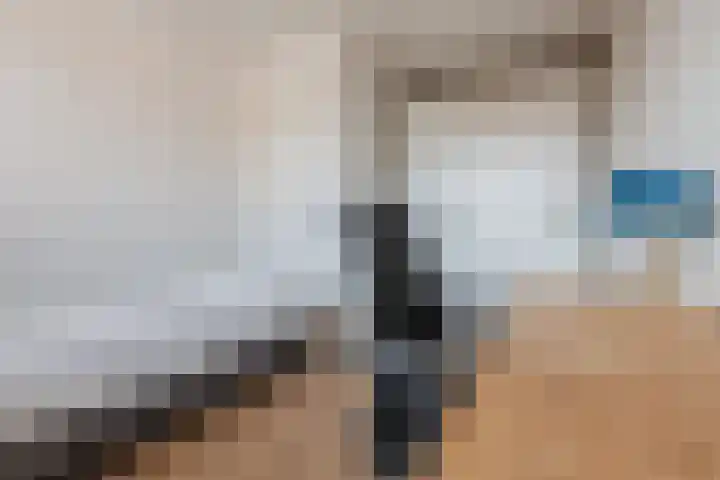 Huiszwaluwstraat 6 Heerhugowaard thumbnail 25