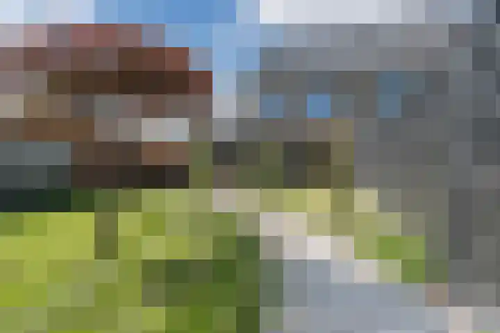 Huiszwaluwstraat 6 Heerhugowaard thumbnail 43