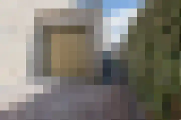 Huiszwaluwstraat 6 Heerhugowaard thumbnail 5