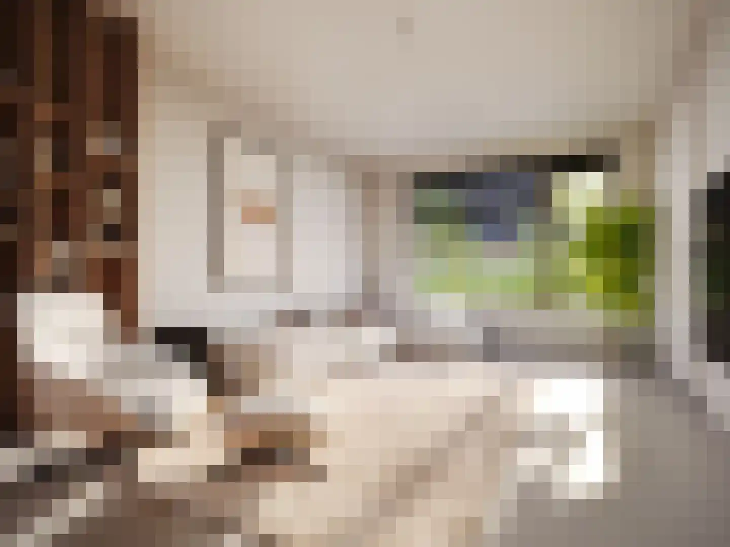 Huiszwaluwstraat 9 Heerhugowaard thumbnail 4