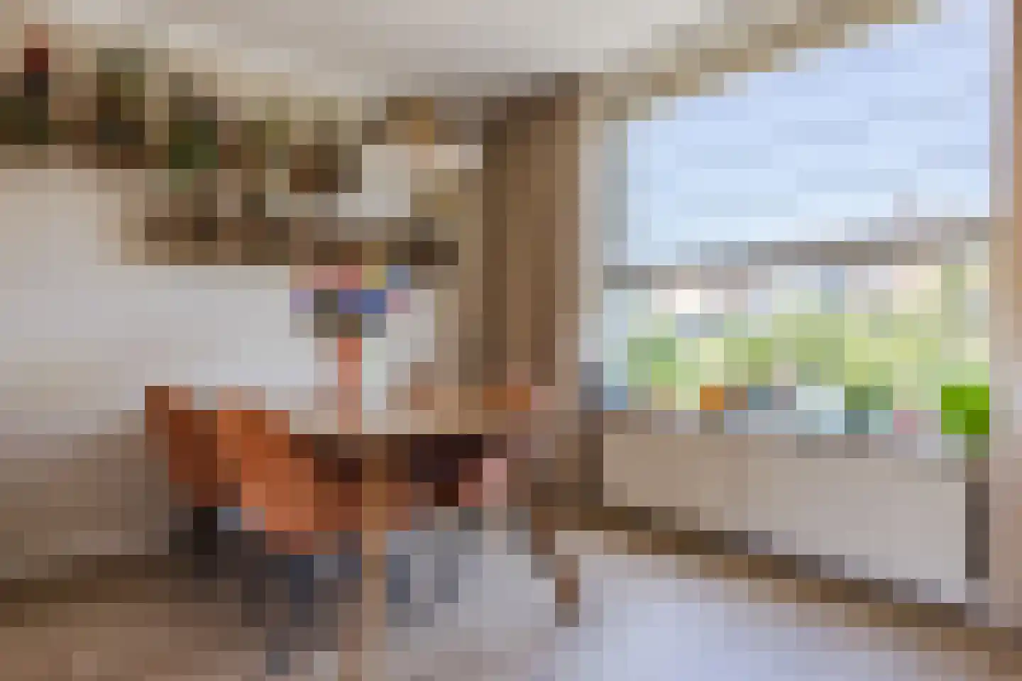 Huize Limburgstraat 8 Oosterhout thumbnail 18