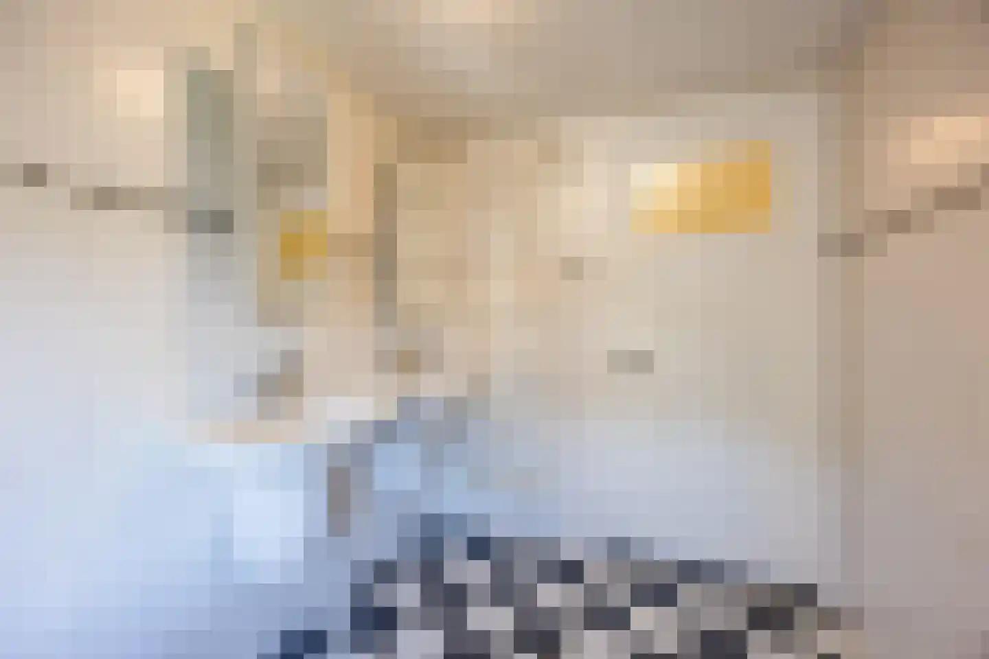 Huize Limburgstraat 8 Oosterhout thumbnail 35