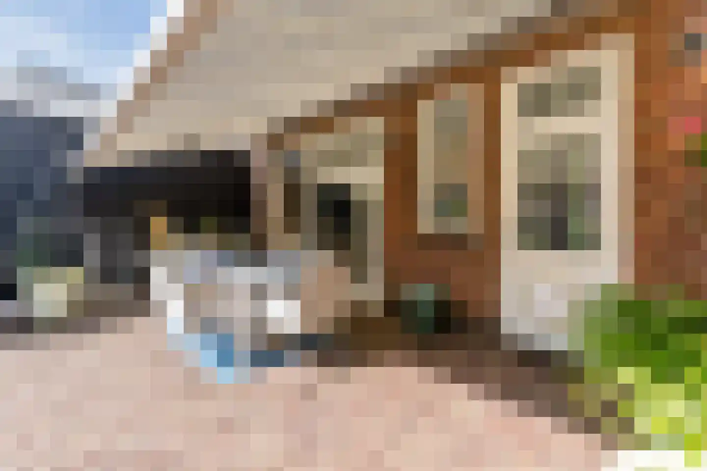 Huize Limburgstraat 8 Oosterhout thumbnail 43