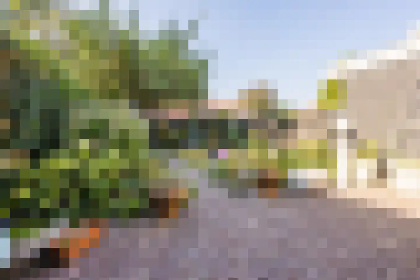 Huize Limburgstraat 8 Oosterhout thumbnail 53