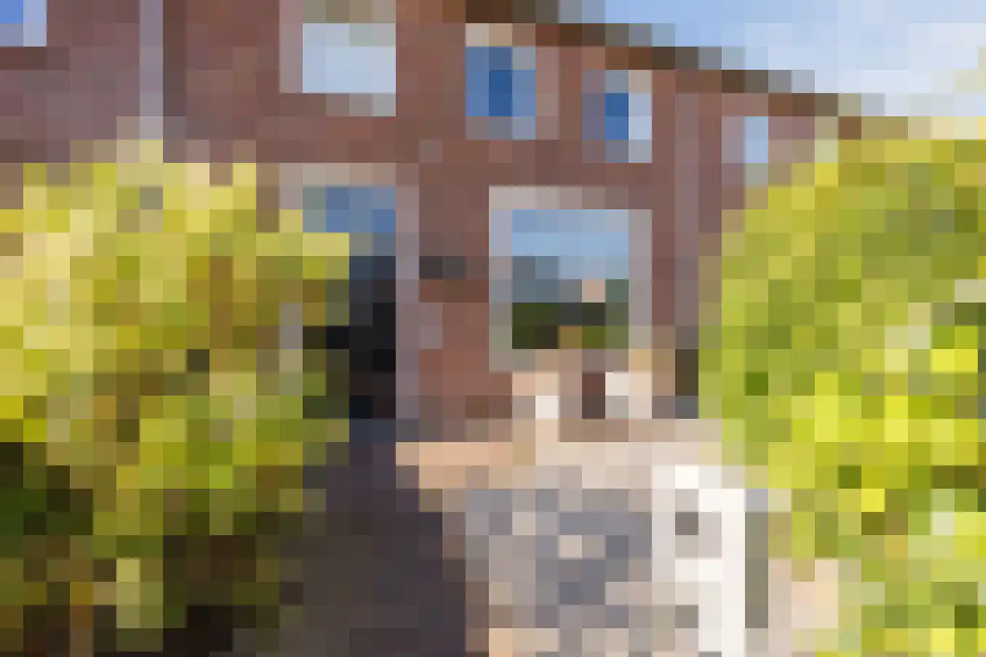 Huize Limburgstraat 8 Oosterhout thumbnail 7