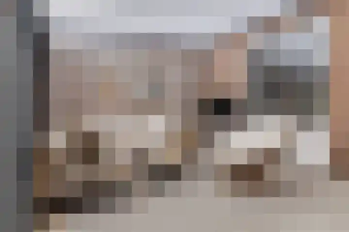 Office photo of Huize Muller Makelaars