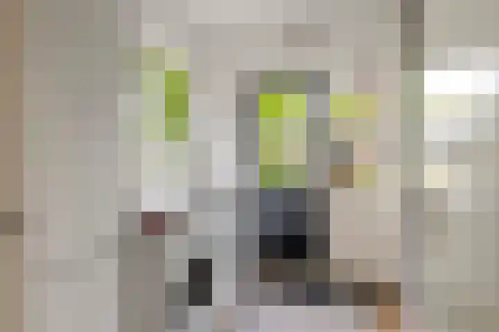 Huizekamplaan 21 Beesd thumbnail 28