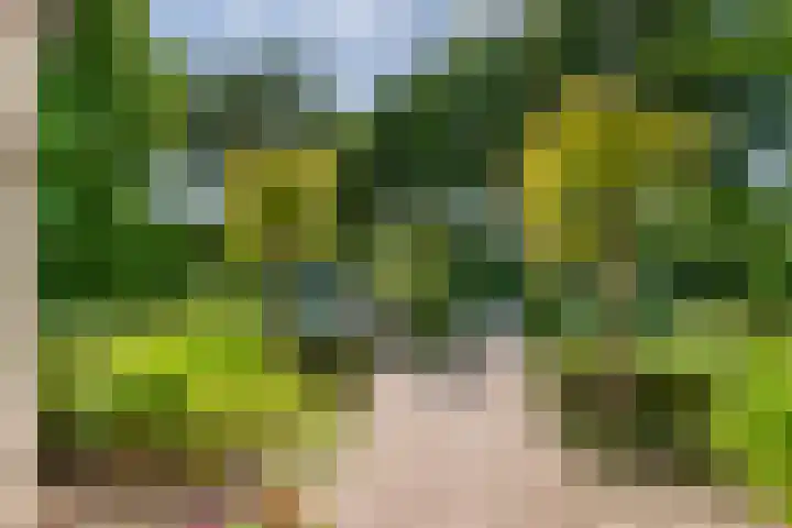 Huizekamplaan 21 Beesd thumbnail 43
