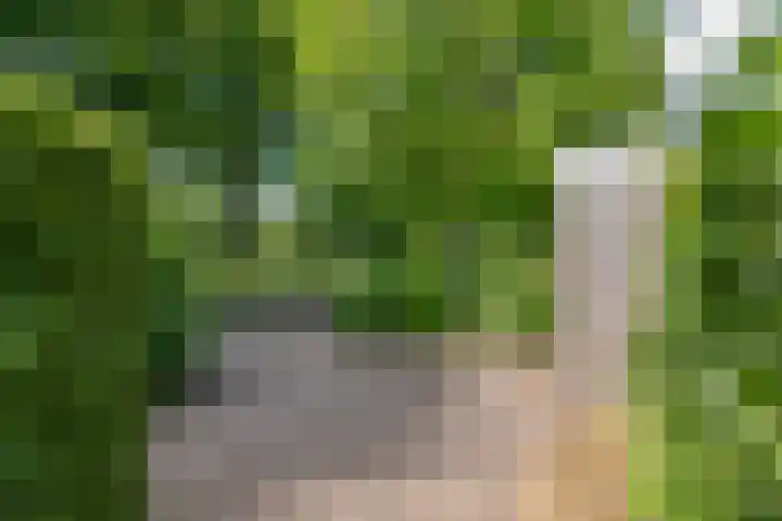 Huizekamplaan 21 Beesd thumbnail 44