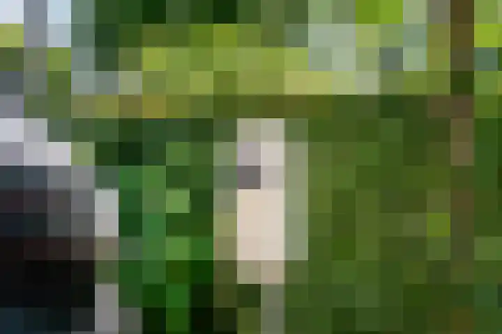 Huizekamplaan 21 Beesd thumbnail 45