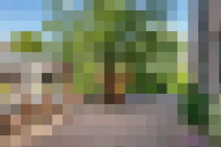 Huizekamplaan 21 Beesd thumbnail 46