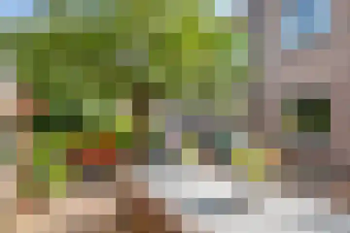 Huizekamplaan 21 Beesd thumbnail 47