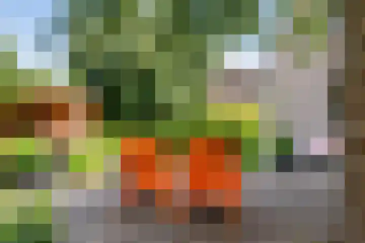 Huizekamplaan 21 Beesd thumbnail 48