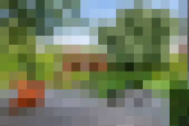 Huizekamplaan 21 Beesd thumbnail 49