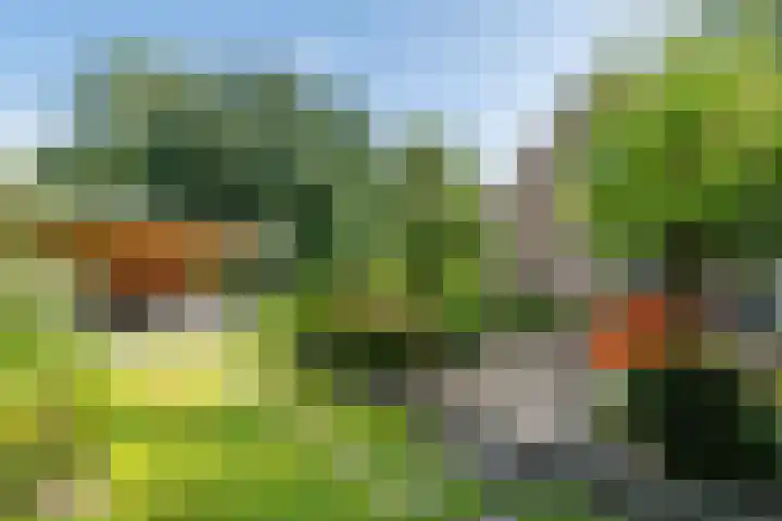 Huizekamplaan 21 Beesd thumbnail 50