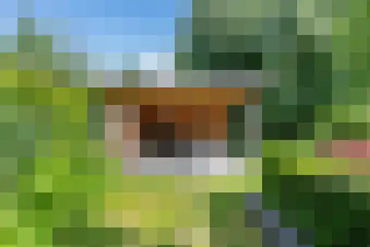 Huizekamplaan 21 Beesd thumbnail 51
