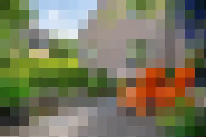 Huizekamplaan 21 Beesd thumbnail 52