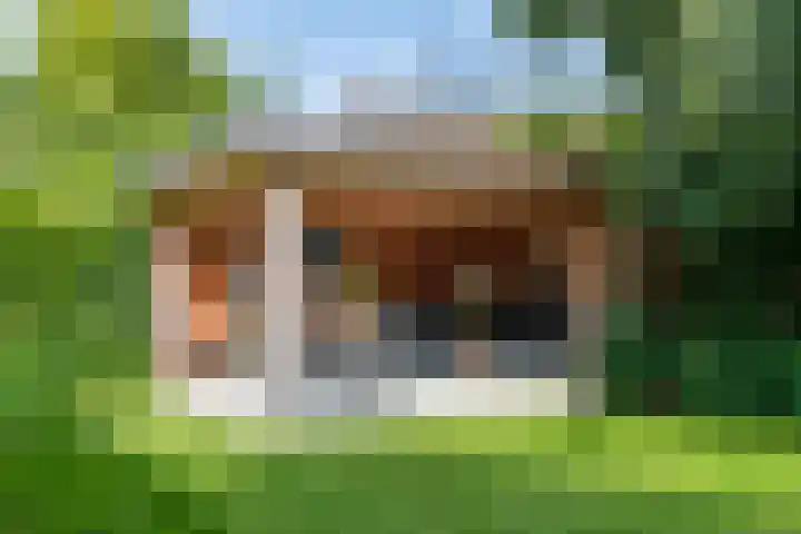 Huizekamplaan 21 Beesd thumbnail 53