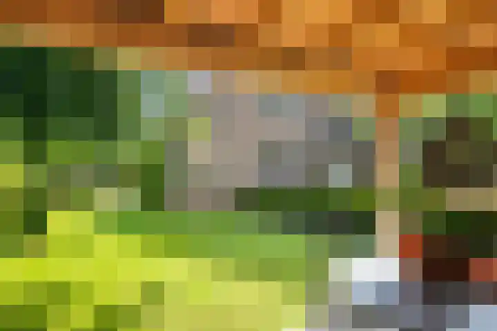 Huizekamplaan 21 Beesd thumbnail 55